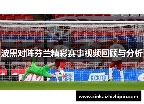 波黑对阵芬兰精彩赛事视频回顾与分析